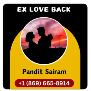 Ex Love Back Specialist in Mississippi